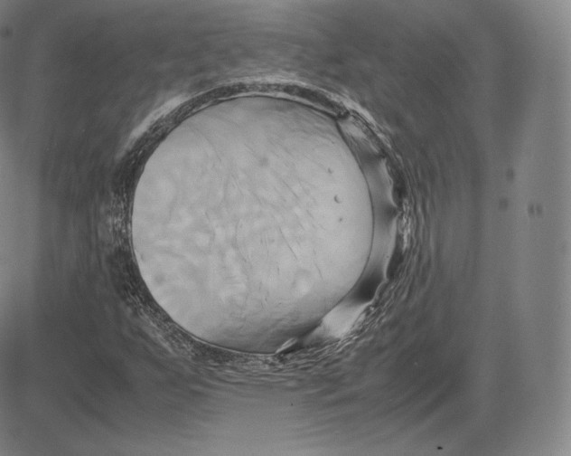 X0000083621255200703051600