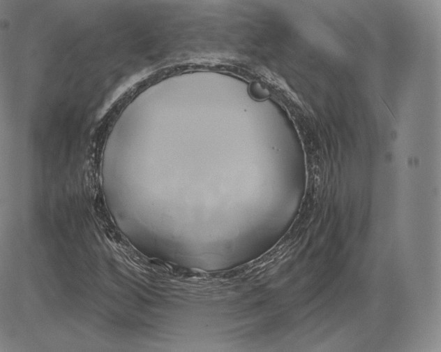 X0000083621256200703051600