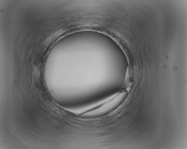 X0000083621257200703051600