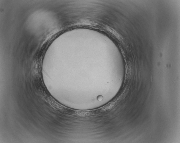 X0000083621258200703051600