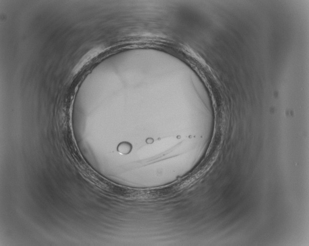 X0000083621259200703051600