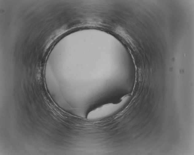 X0000083621260200703051600