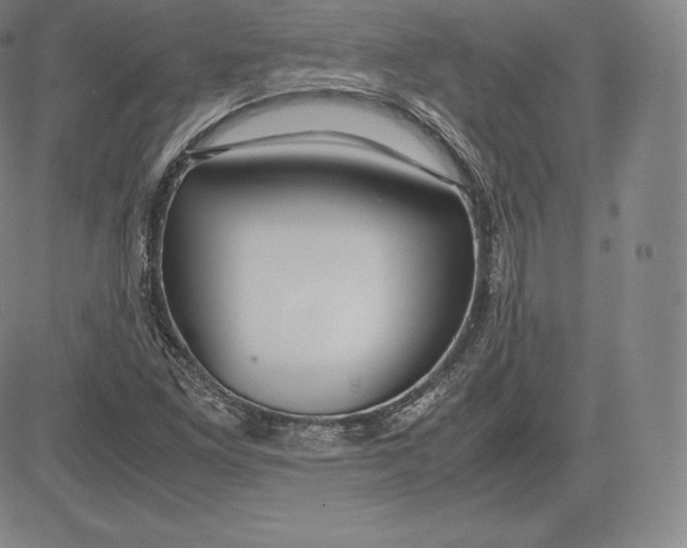 X0000083621261200703051600