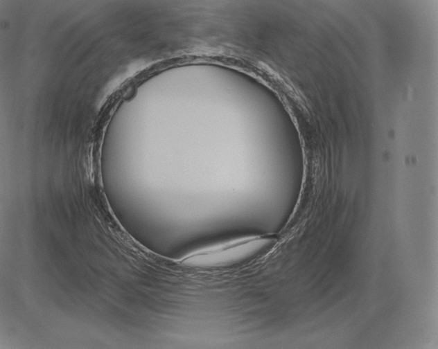 X0000083621262200703051600