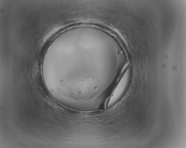 X0000083621263200703051600