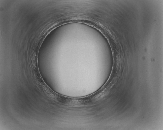 X0000083621265200703051600