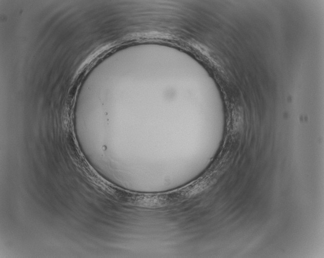 X0000083621266200703051600