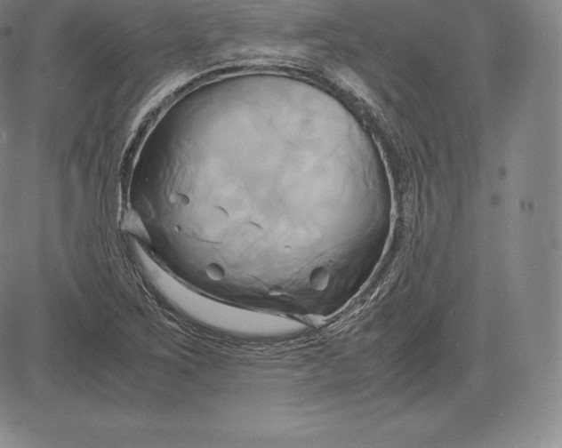 X0000083621267200703051600