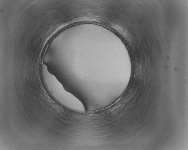 X0000083621268200703051600