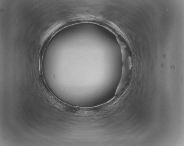 X0000083621269200703051600