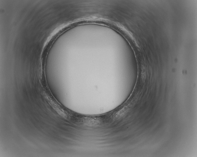 X0000083621270200703051600