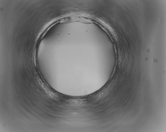 X0000083621272200703051600