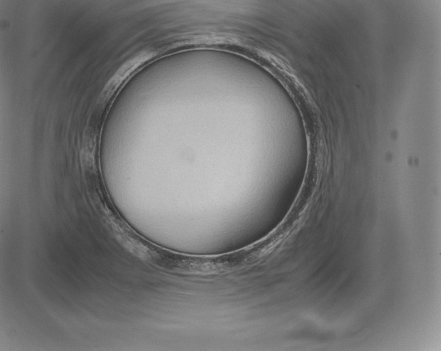 X0000083621273200703051600