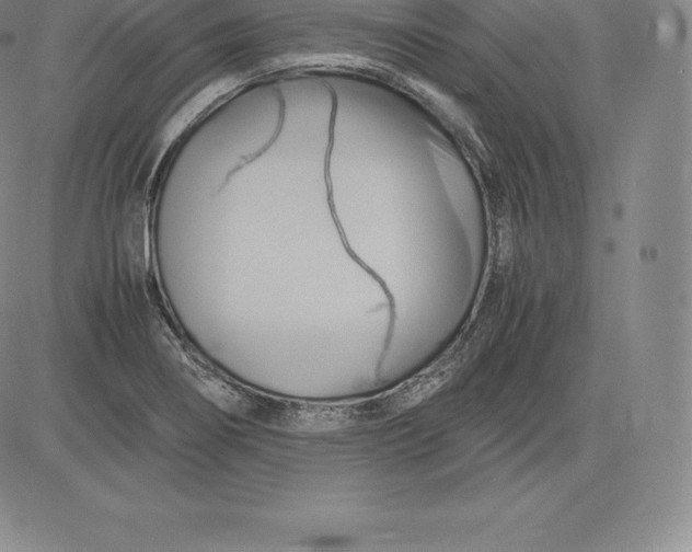 X0000083621274200703051600