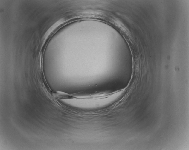 X0000083621275200703051600