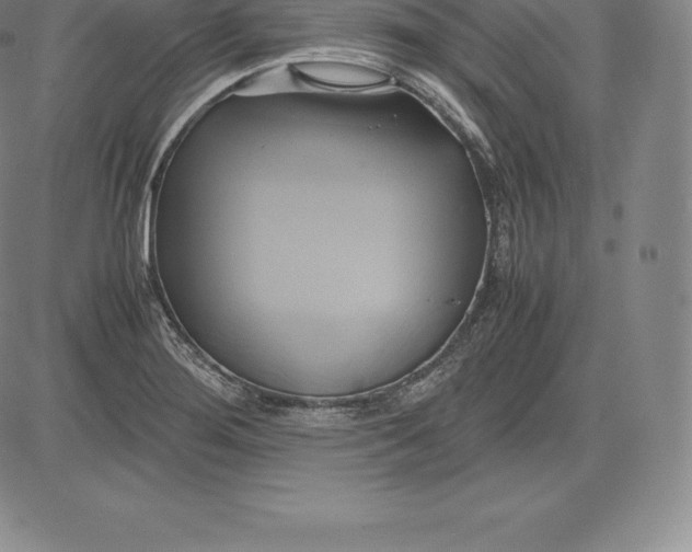 X0000083621276200703051600