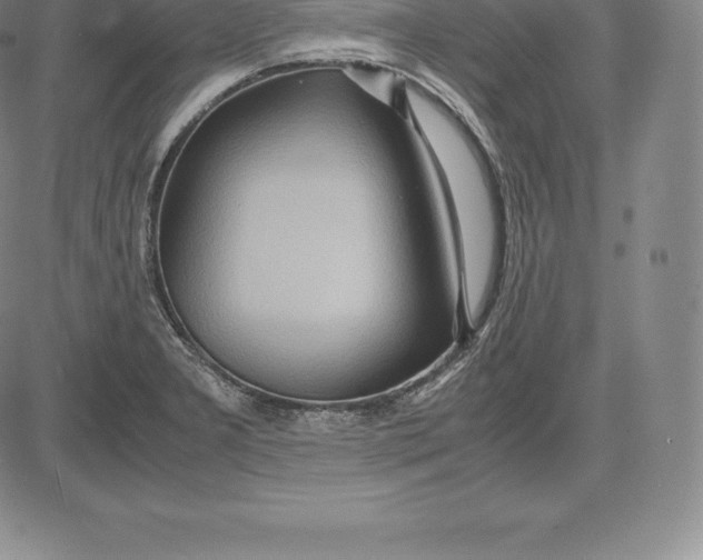 X0000083621277200703051600