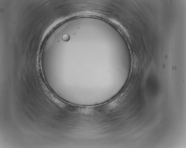 X0000083621278200703051600