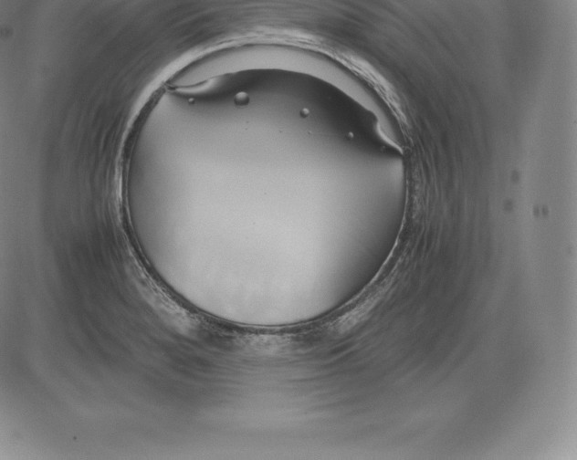 X0000083621280200703051600