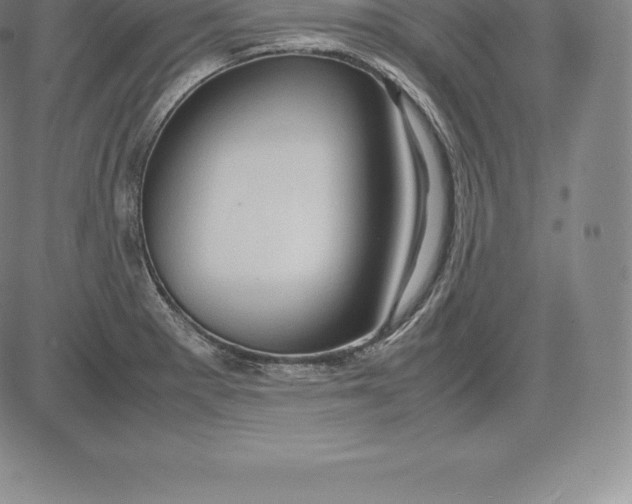 X0000083621281200703051559