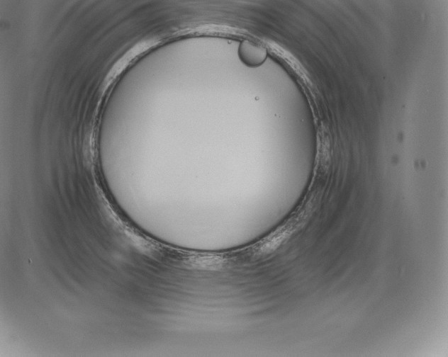 X0000083621282200703051559