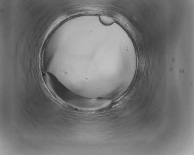 X0000083621283200703051559