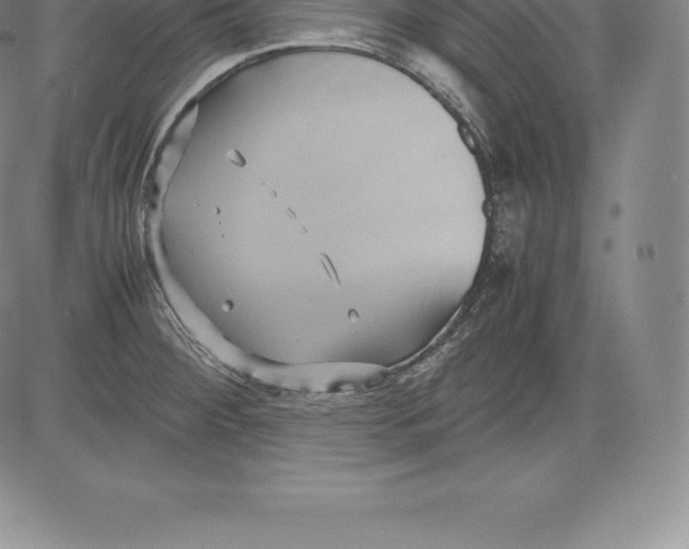 X0000083621284200703051559