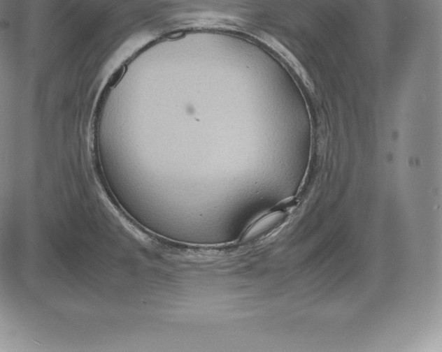 X0000083621285200703051559