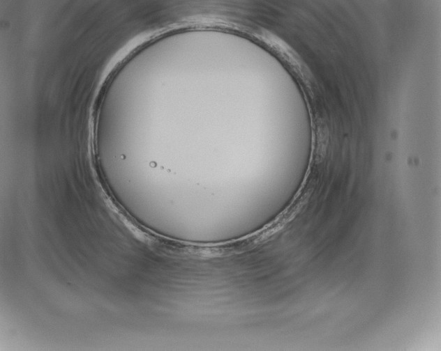 X0000083621286200703051559