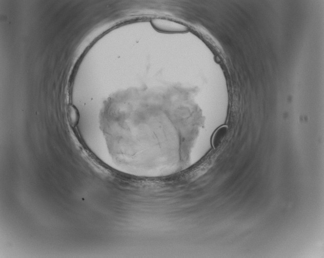 X0000083621287200703051559