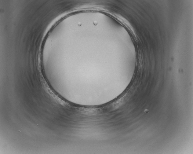 X0000083621288200703051559