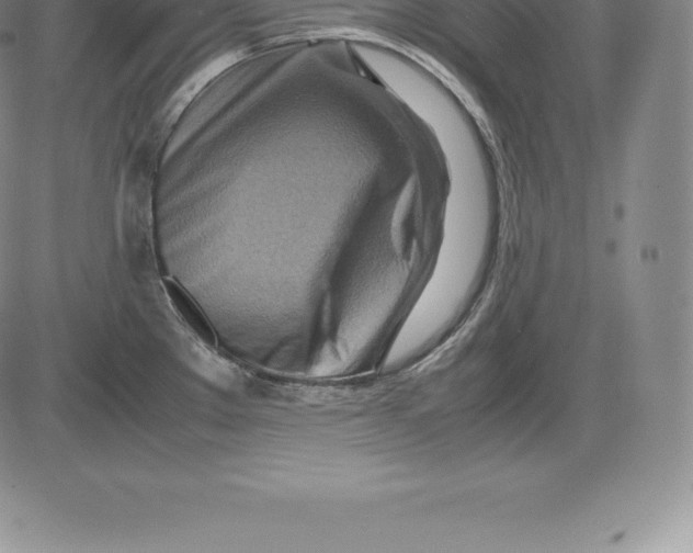 X0000083621289200703051559