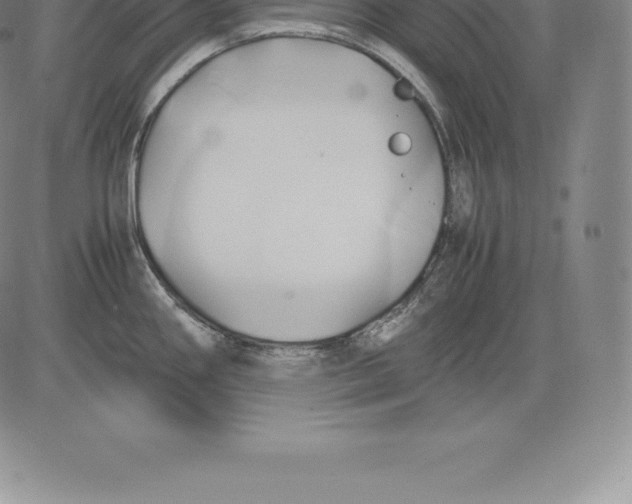 X0000083621290200703051559