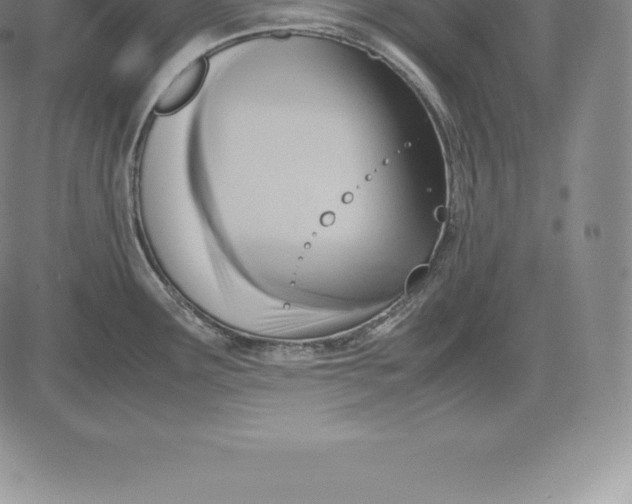 X0000083621291200703051559