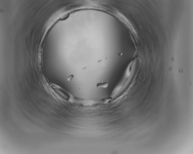 X0000083621292200703051559