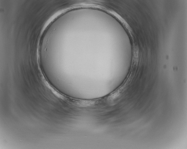 X0000083621294200703051559