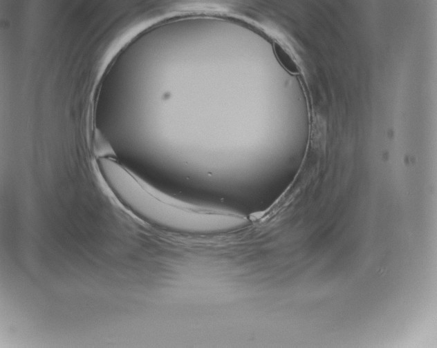 X0000083621295200703051559