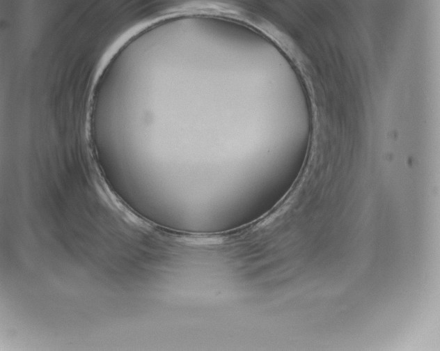 X0000083621296200703051559