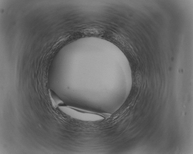 X0000083621297200703051558