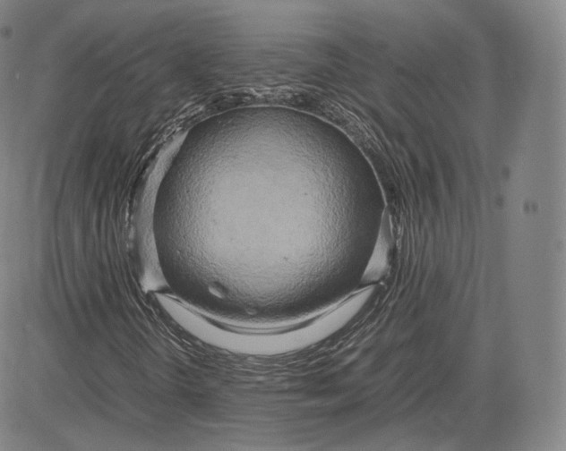 X0000083621298200703051558