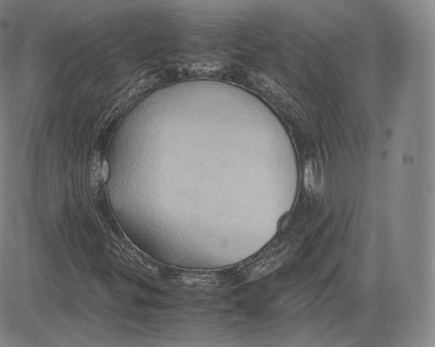 X0000083621299200703051558