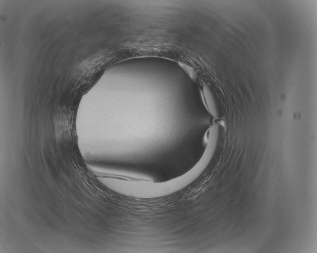 X0000083621300200703051558