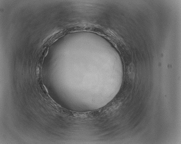 X0000083621302200703051558