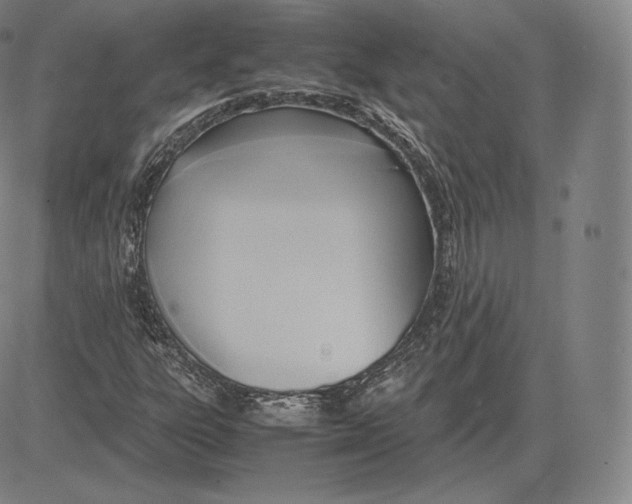 X0000083621303200703051558