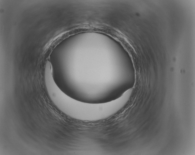 X0000083621304200703051559