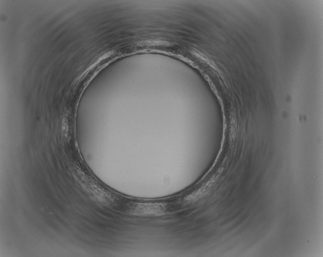 X0000083621305200703051559