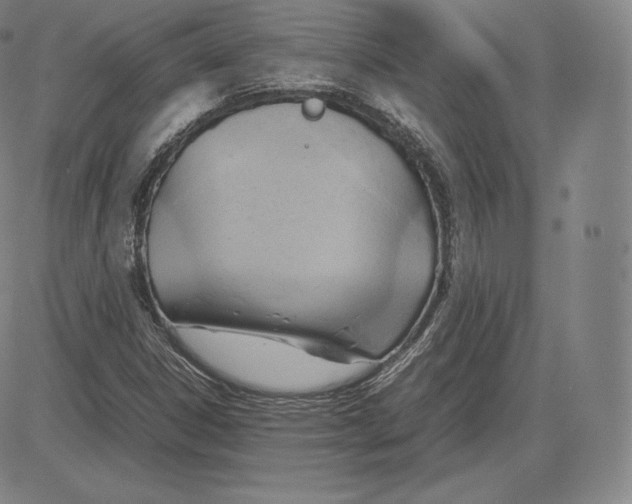 X0000083621306200703051559