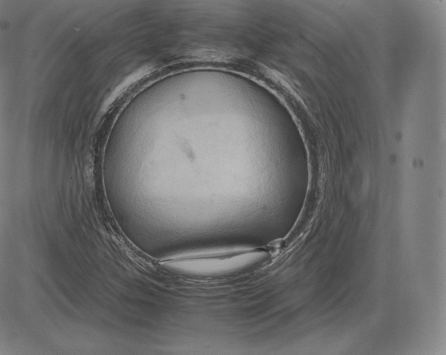 X0000083621307200703051559