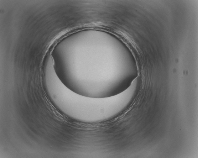 X0000083621308200703051559