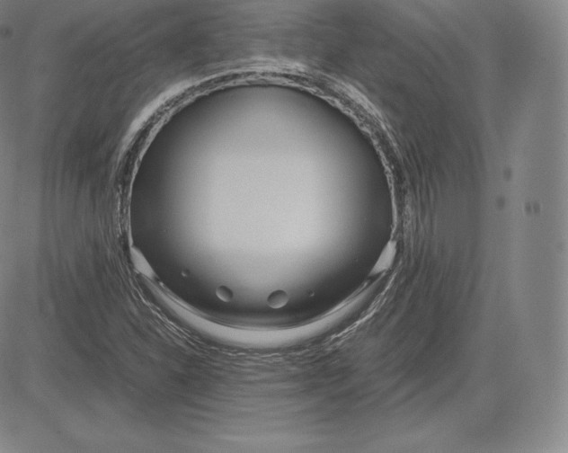 X0000083621310200703051559